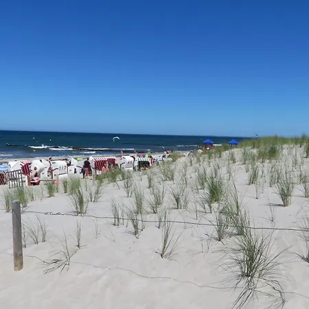 Fledermaus 1 Punkt 6 *