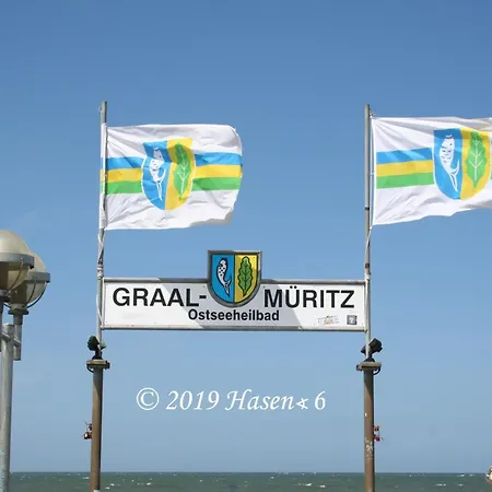 Fledermaus 1 Punkt 6 * Gelbensande