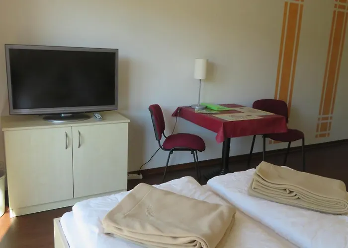 Fledermaus 1 Punkt 6 *