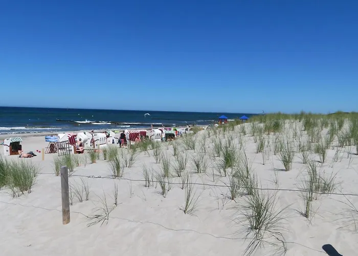 Fledermaus 1 Punkt 6 *