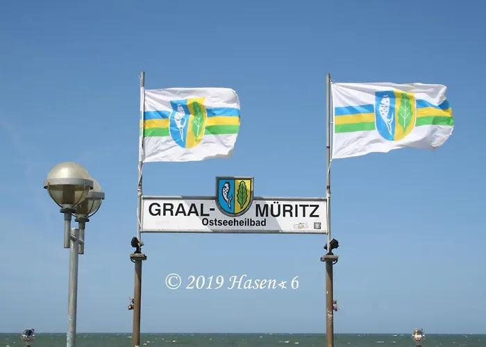 Fledermaus 1 Punkt 6 * Gelbensande